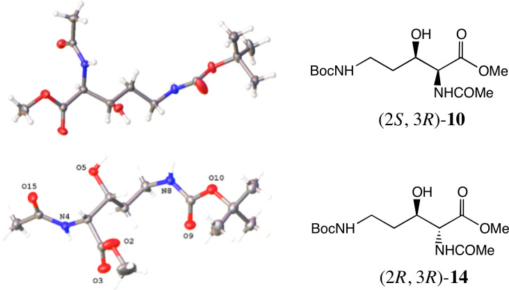 Figure 5