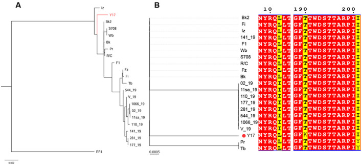 Figure 6