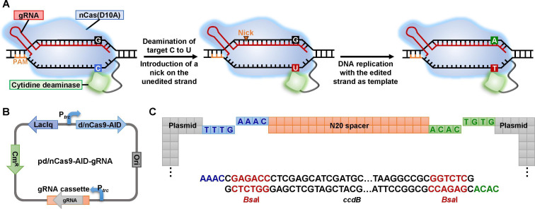 Figure 4