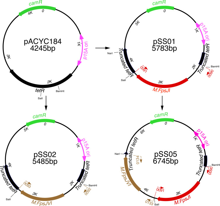 Figure 2