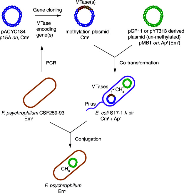 Figure 10