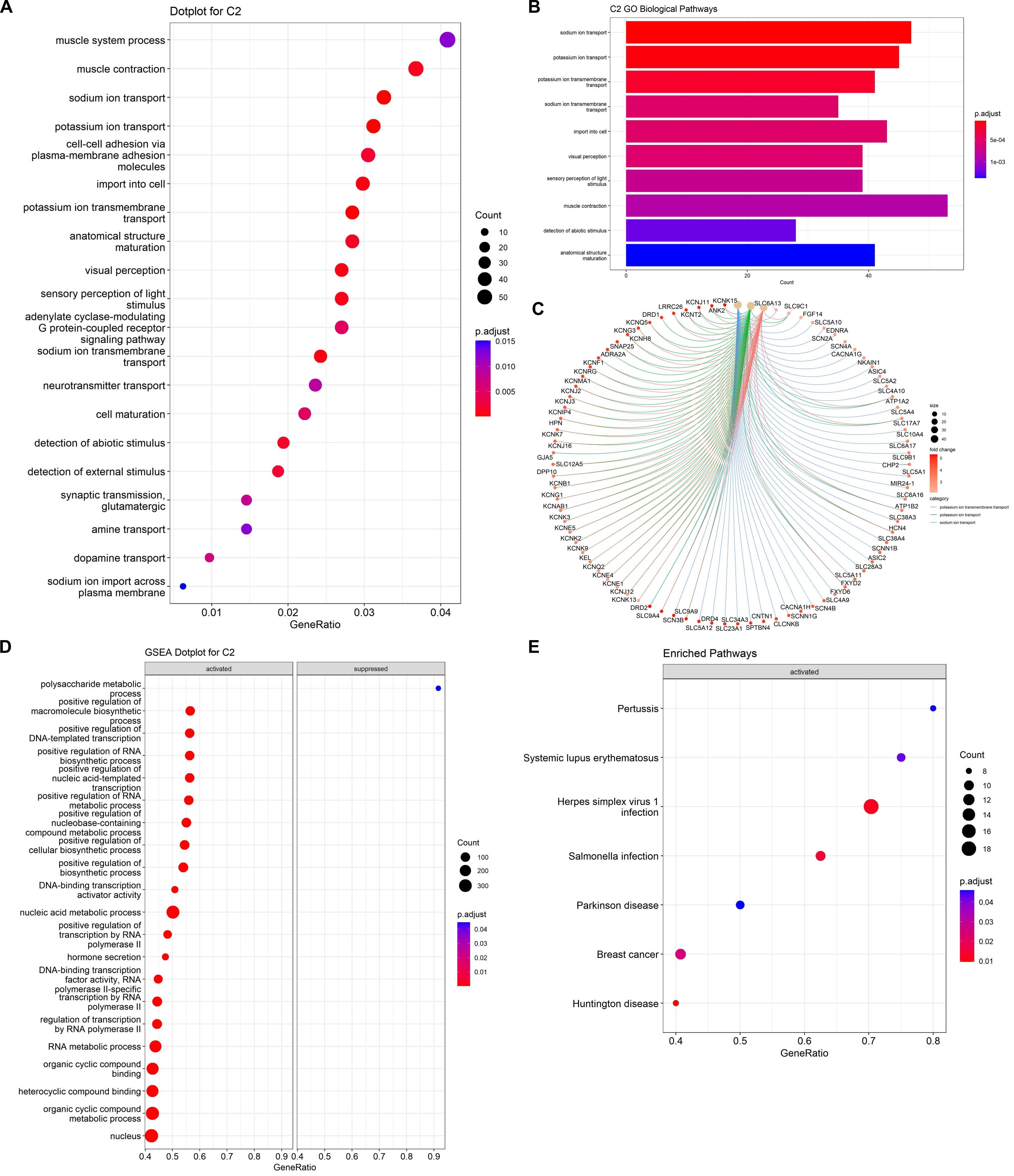 Figure 12