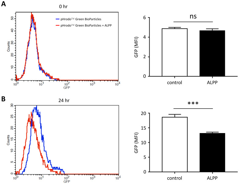 Figure 3