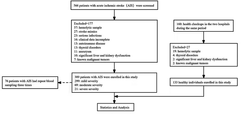 FIGURE 1