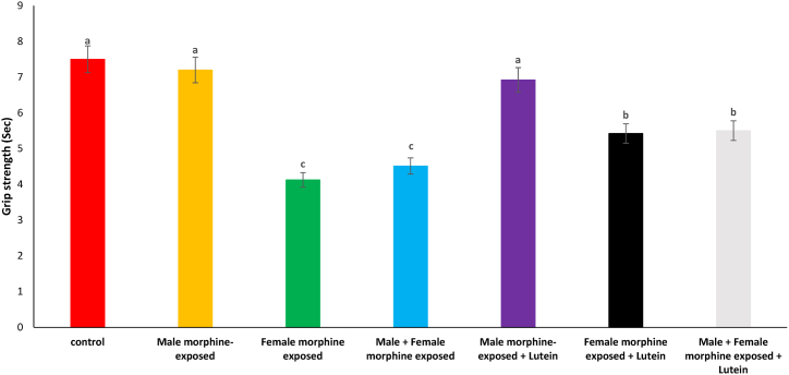 Figure 7