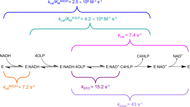 Scheme 2
