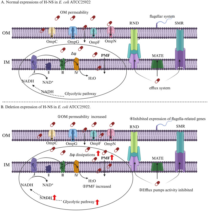 Figure 9