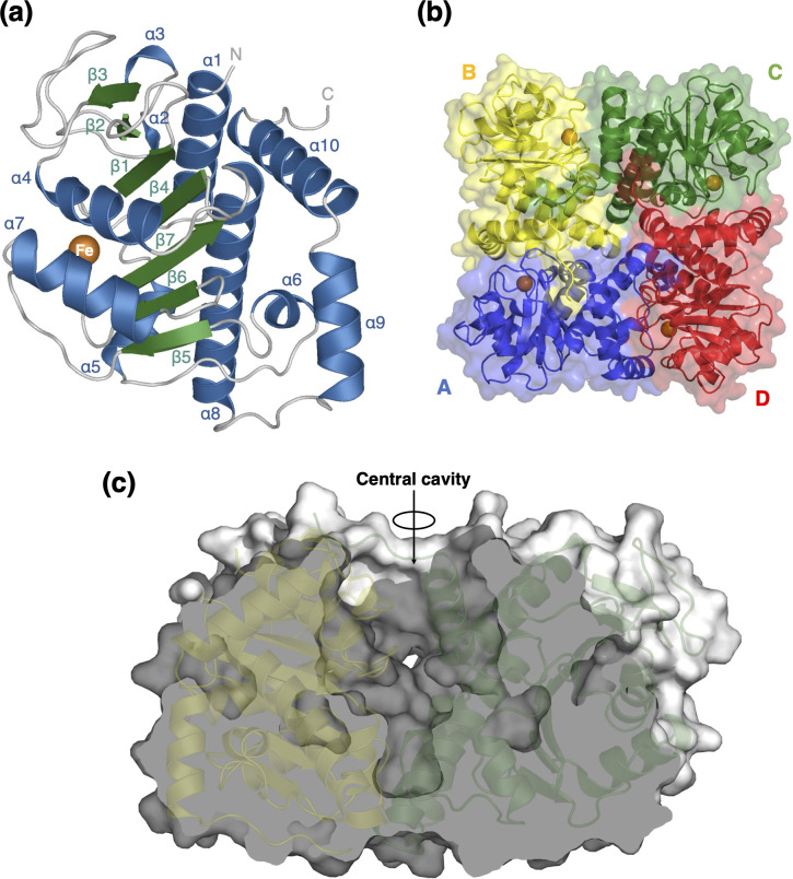 Fig 2