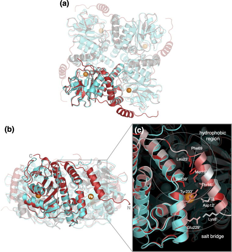 Fig 4