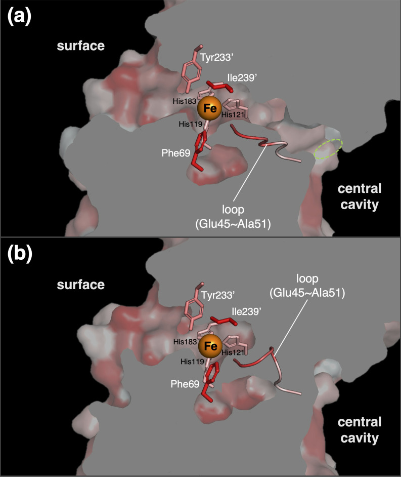 Fig 5