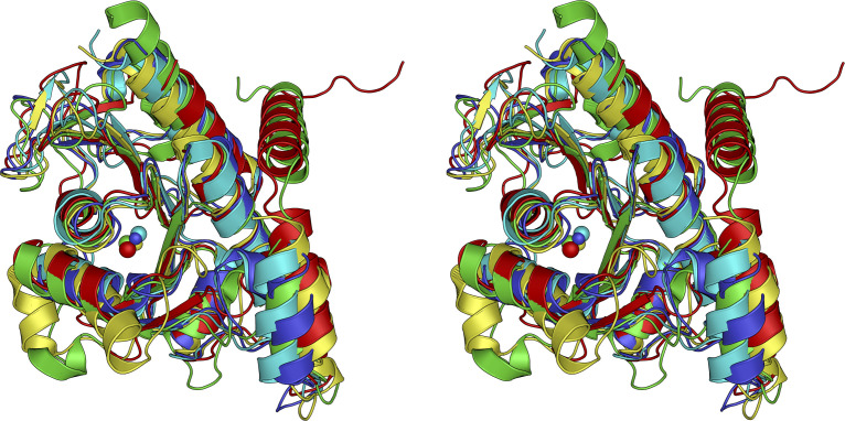 Fig 6