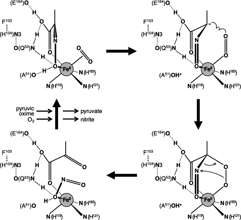 Fig 7