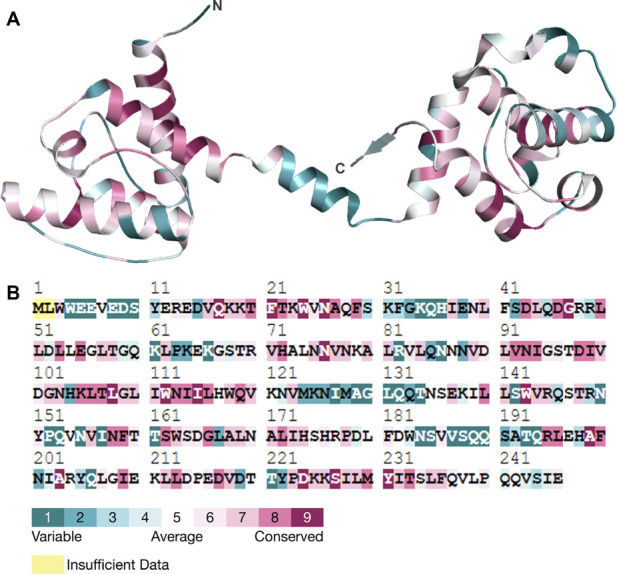 FIGURE 6