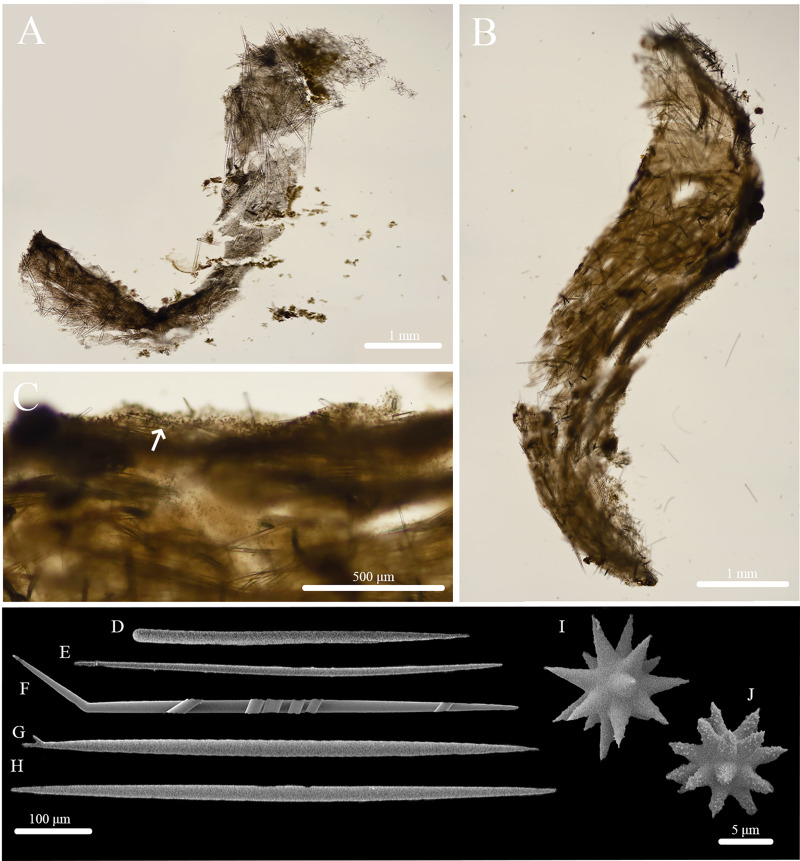 Figure 10