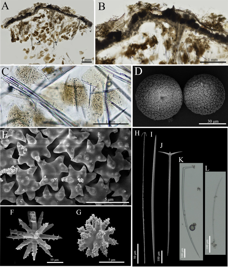 Figure 13