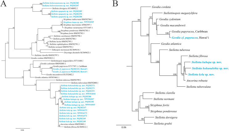 Figure 14