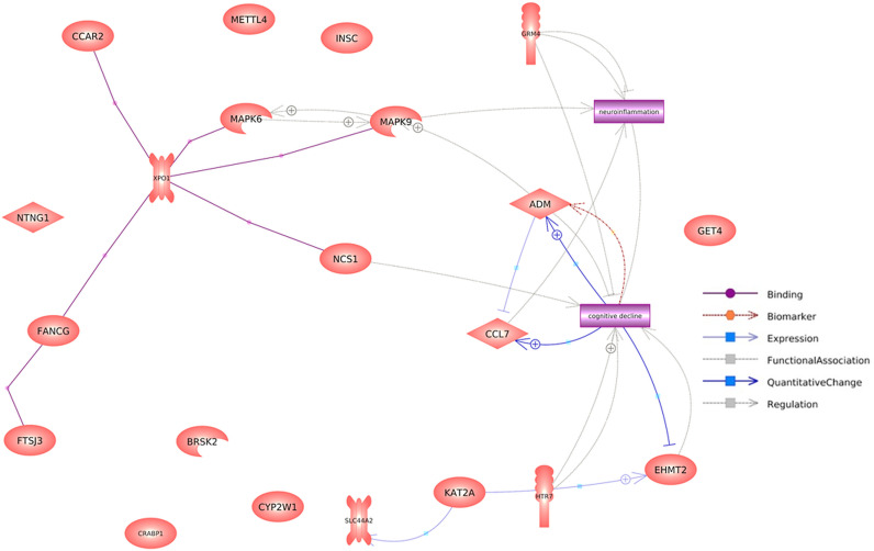 Fig 3