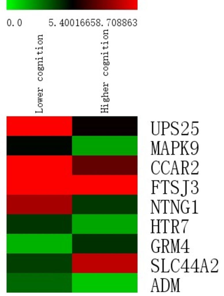 Fig 6
