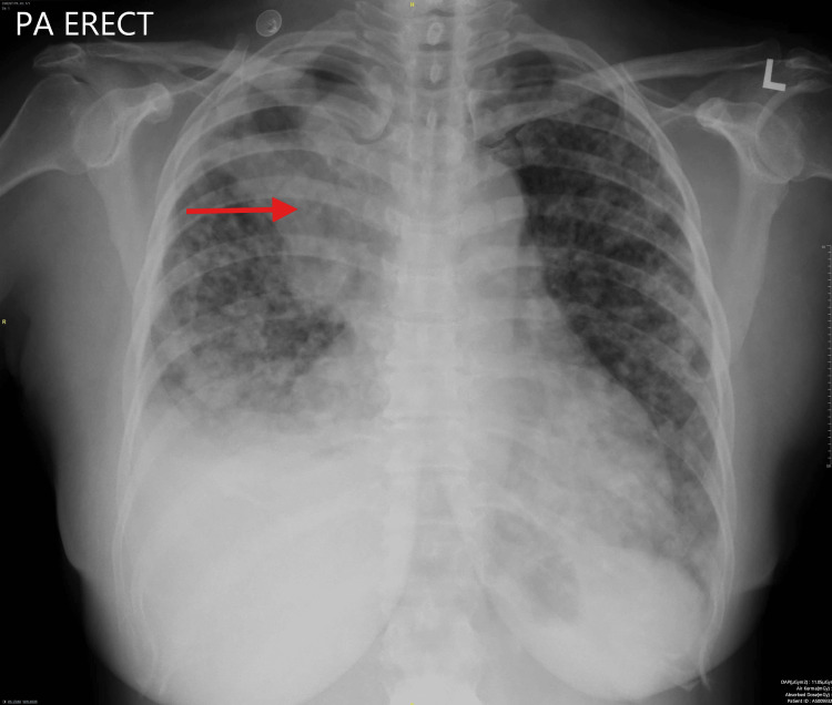 Figure 8
