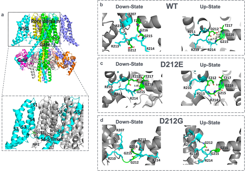 Figure 7