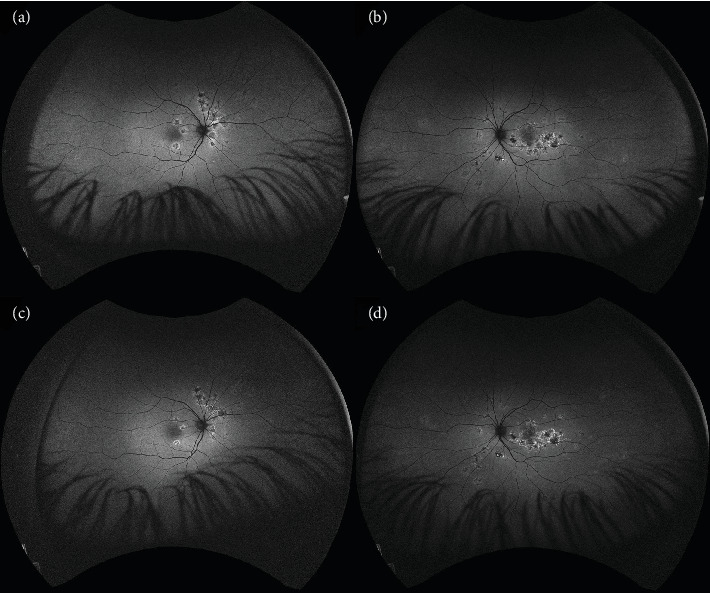 Figure 6