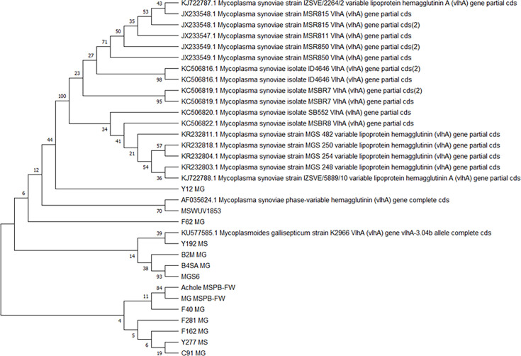 Figure 2