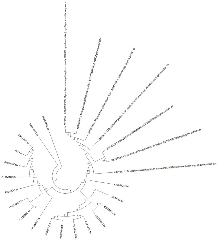 Figure 5