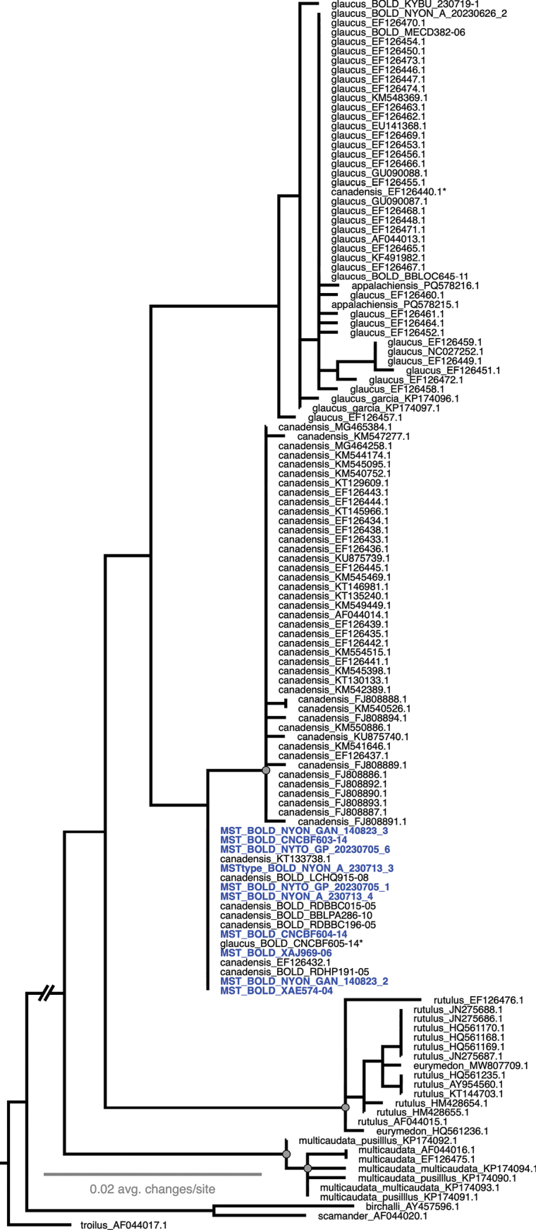 Figure 13