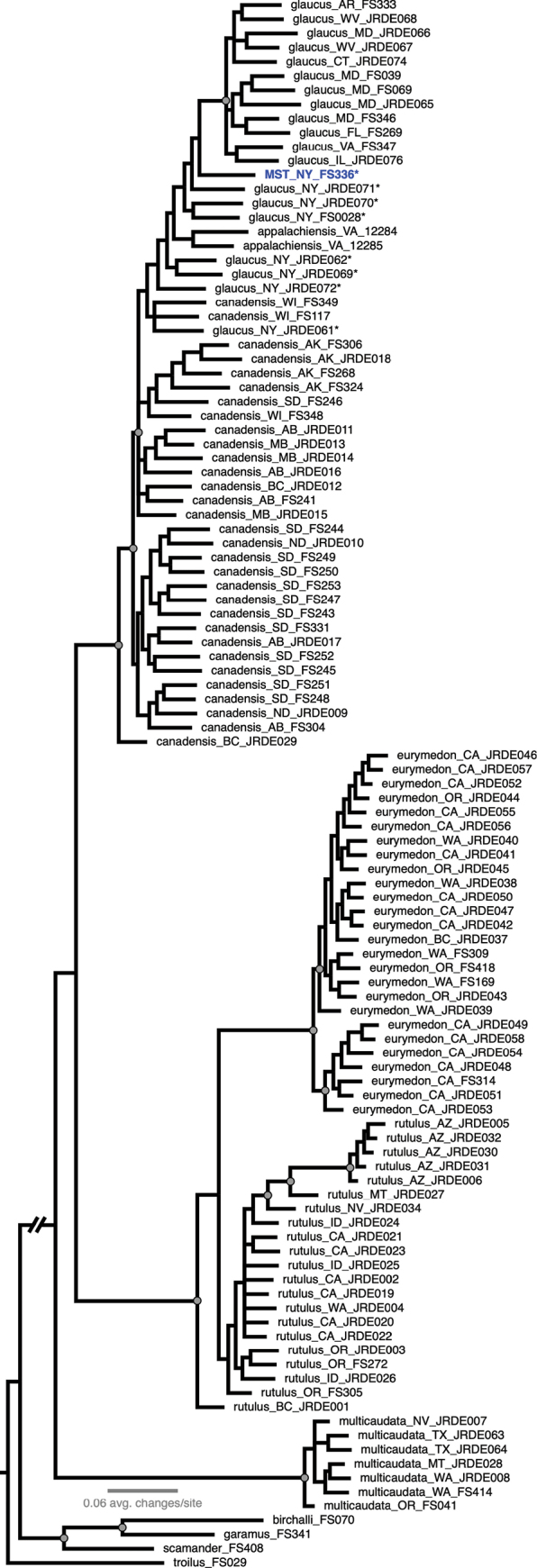Figure 15
