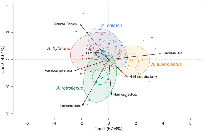 Figure 5