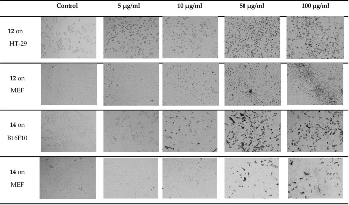 Figure 8