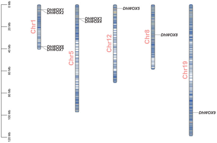 FIGURE 1