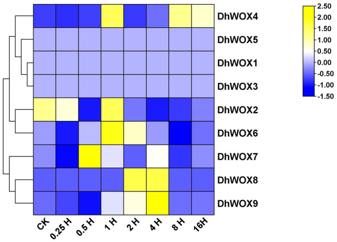 FIGURE 11