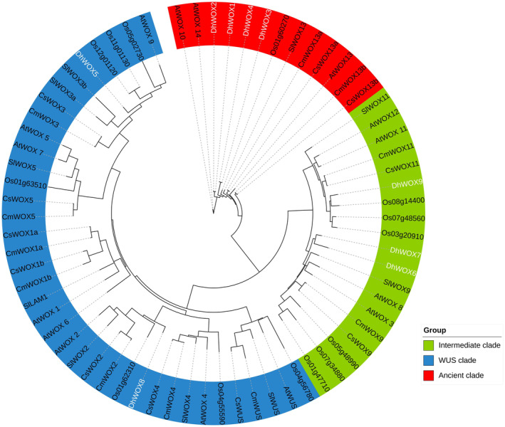 FIGURE 2