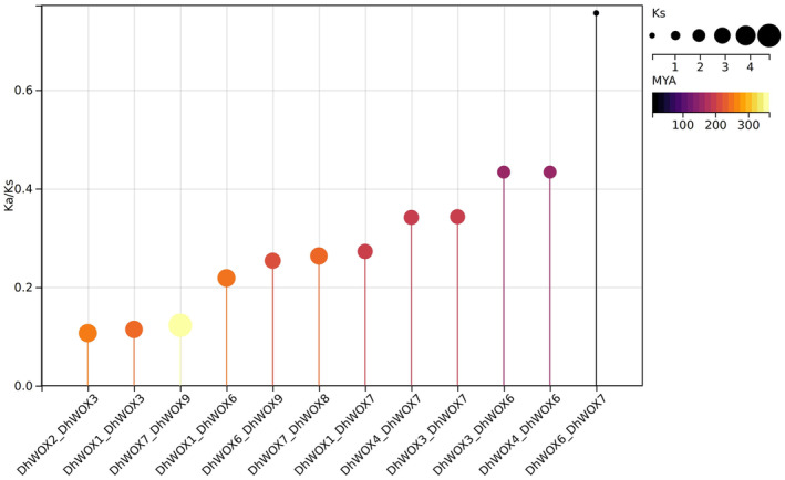 FIGURE 4