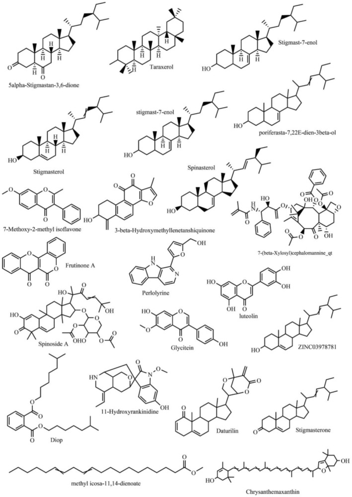 FIGURE 2