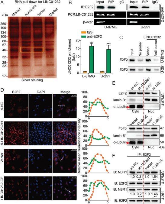 Figure 23