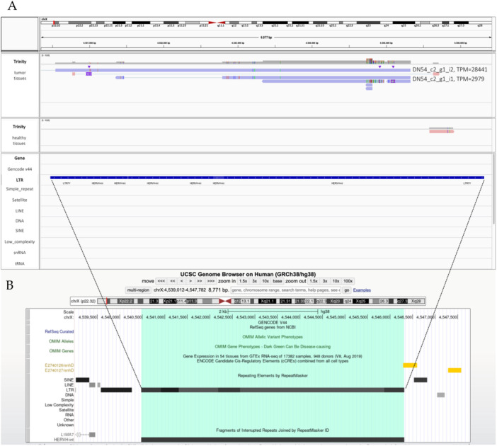 Figure 6