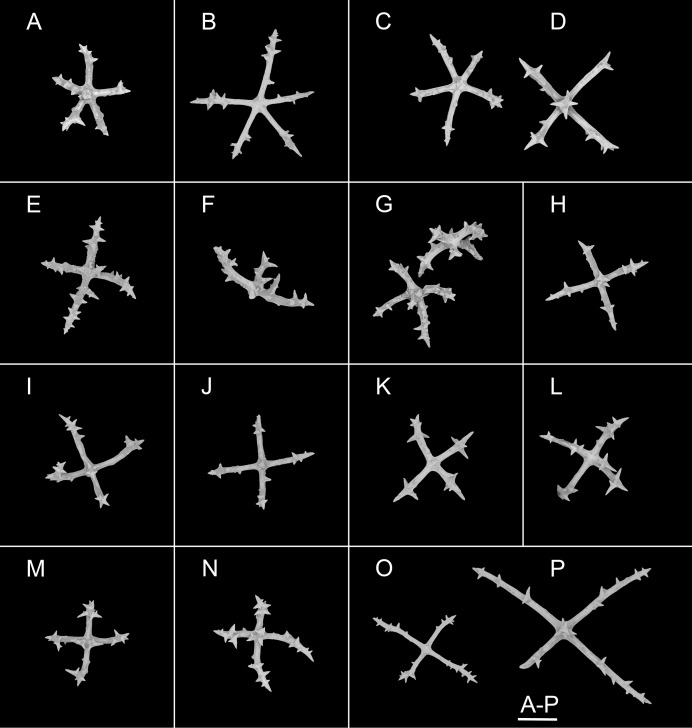 Figure 7