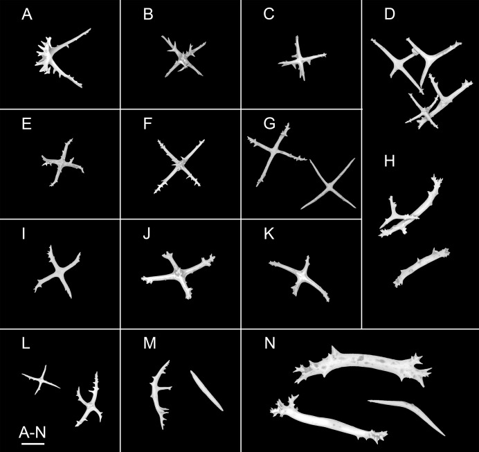 Figure 11