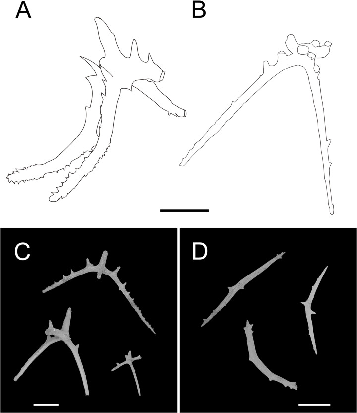Figure 13