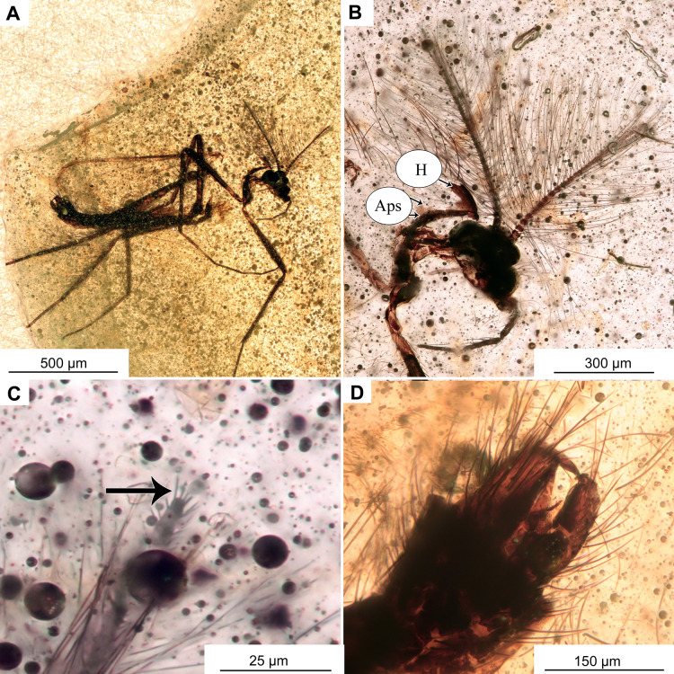 Figure 9