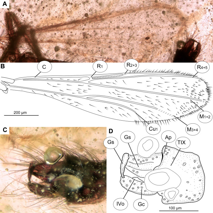 Figure 10