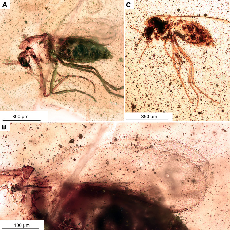 Figure 11