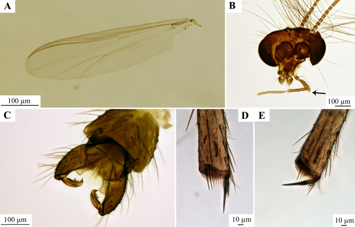 Figure 13