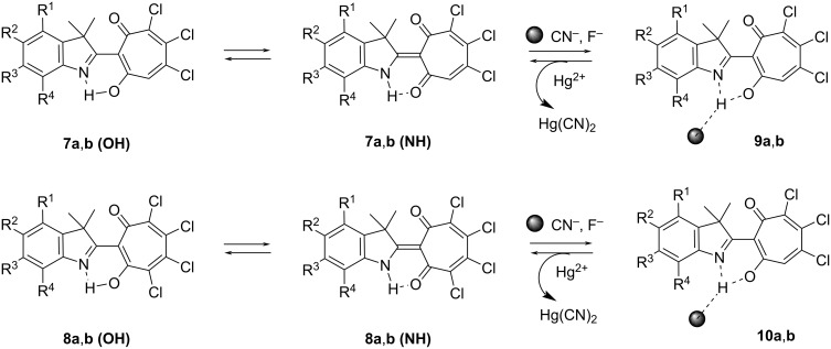 Scheme 3