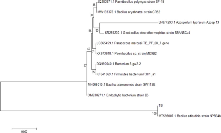 Figure 9