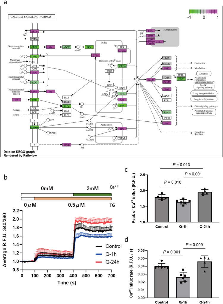 Fig 4