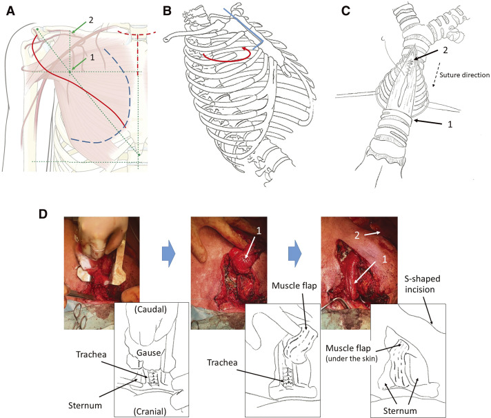 Fig. 2