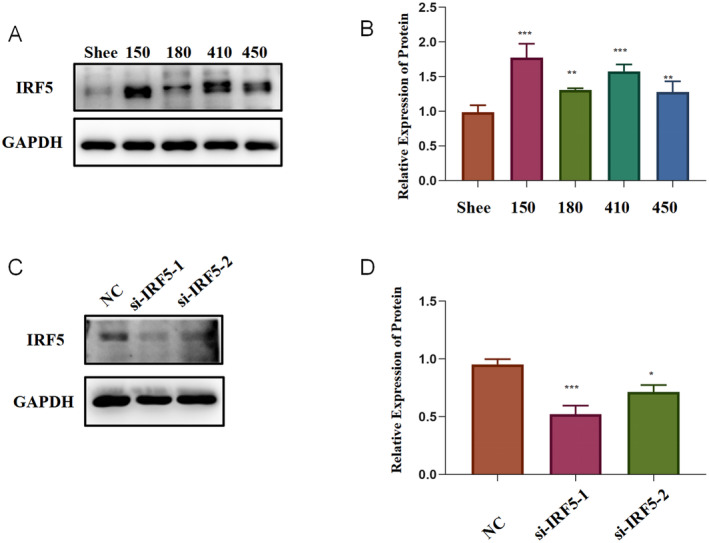 FIGURE 11